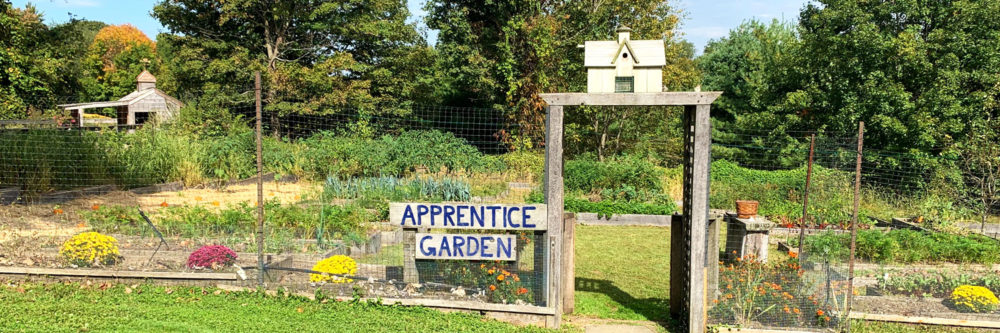 Apprentice Garden