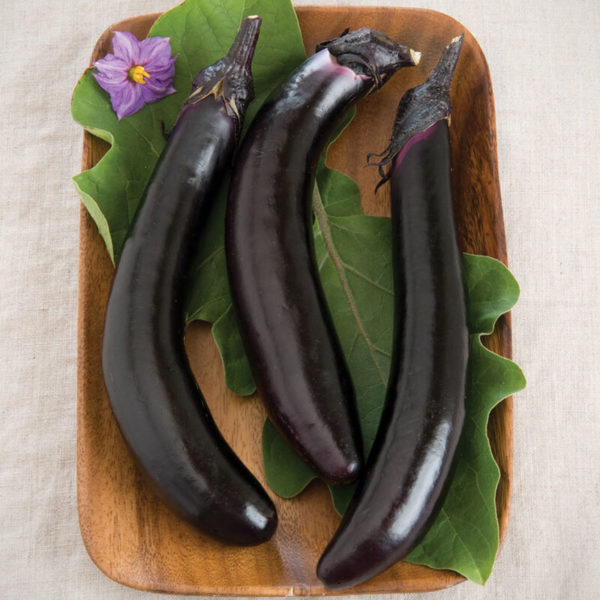 Eggplant - Purple Asian Type