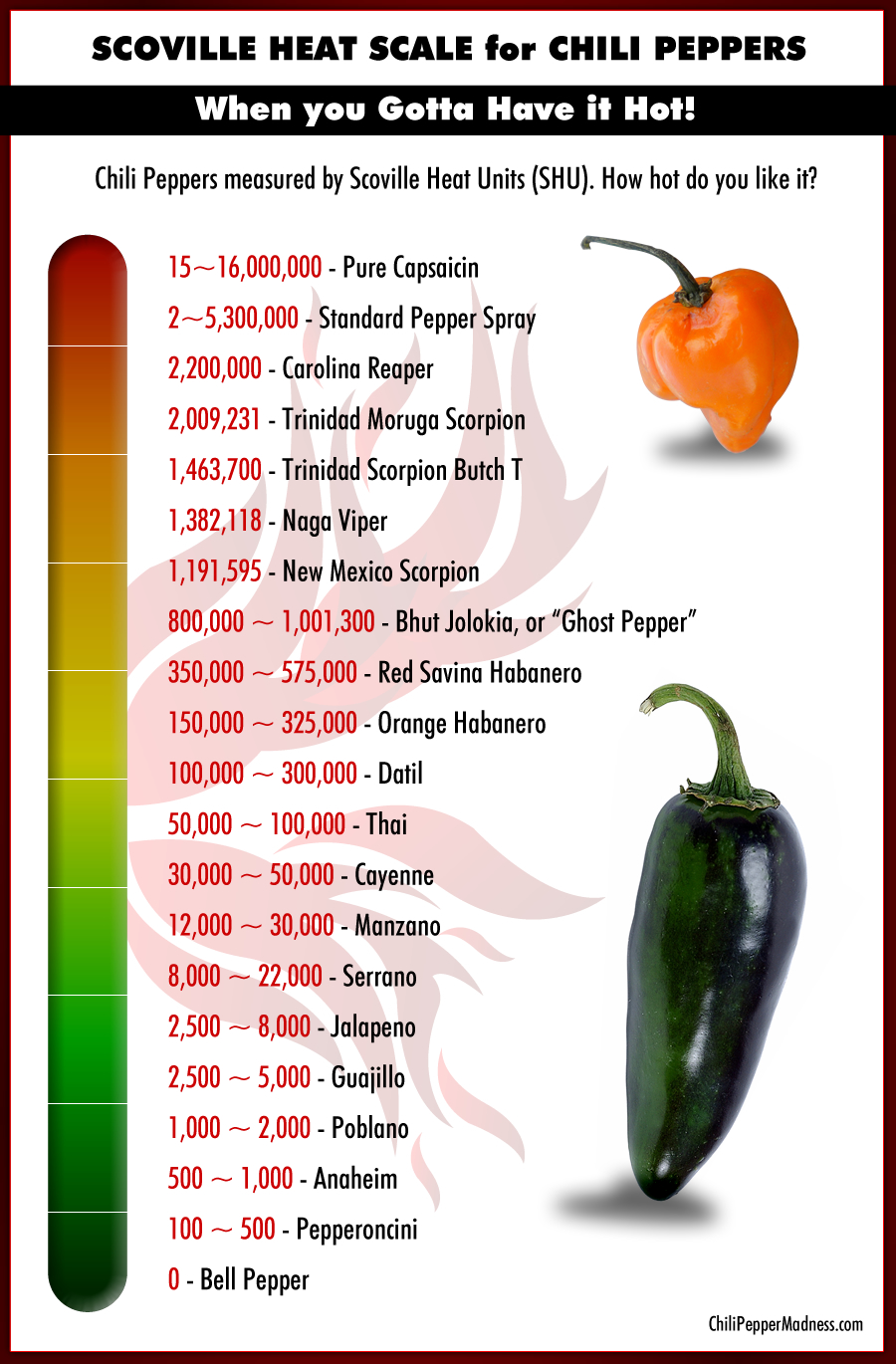 Ghost Pepper Scale