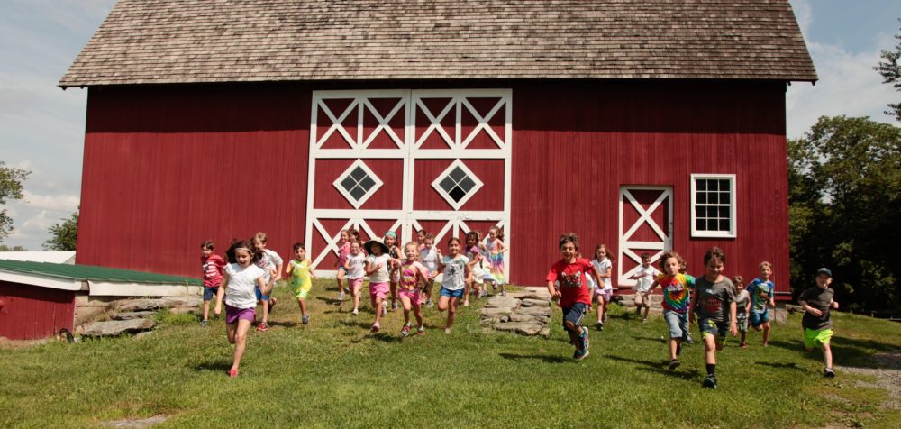 Summer Camp - Kids at Red Barn